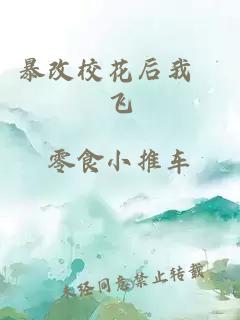 暴改校花后我漺飛
